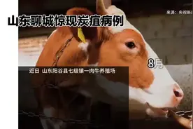 聊城肉牛场炭疽病例，防控紧急视频封面