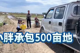 小胖去农村承包500亩稻田，总投资200多万，今年准备大干一场视频封面
