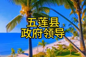 五莲县政府领导视频封面