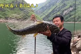 荒野独居185天，第162天，改变了一下策略，大草鱼就咬钩了！视频封面