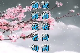 读梅花经典诗词，吟梅花千古名句！视频封面