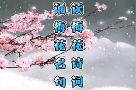 读梅花经典诗词，吟梅花千古名句！视频封面
