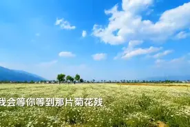 来生不再入红尘视频封面