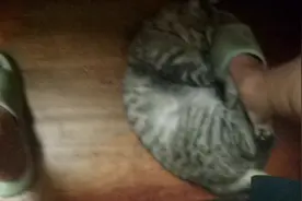 缘来不拒！缘去不留！视频封面