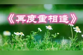 一首女声版的《再度重相逢》柔美动听，好听至极。视频封面