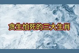 贪生怕死的3大生肖视频封面