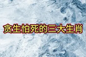 贪生怕死的3大生肖视频封面