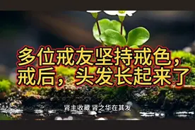多位戒友戒了后，头发长起来了视频封面