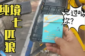 小叶子顶着大太阳捡烟卡，偶遇稀有货——纯境七匹狼，你见过吗？