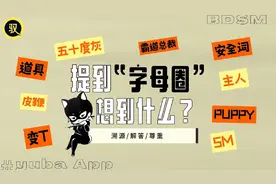 SM揭秘？禁忌之恋？视频封面