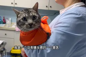 30天内反复，尿闭4次它主人都崩溃了……到底是什么原因导致的？视频封面