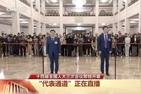 2025全国人大首场代表通道，第一位代表出场，接受媒体采访。视频封面