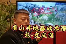 看山寻地基础术语龙，虎成岗。含义解析