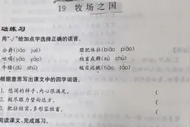 五年级语文下册19牧场之国视频封面