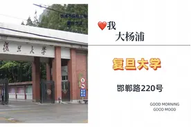 大杨浦（83）复旦大学视频封面