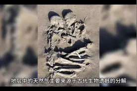 天然气是怎样形成的？#揭秘 #知识 #知识创作人 #知识分享视频封面