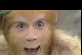 猴子出世视频封面