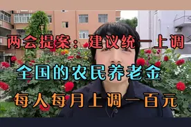 两会提案：建议统一上调全国的农民养老金，每人每月上调一百元视频封面