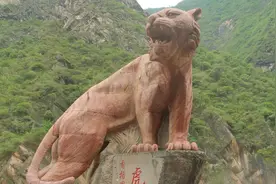 洪水过后第一天开放的云南香格里拉虎跳峡，巨浪滔天，有点恐怖。