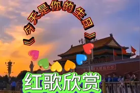 红歌《今天是我的生日》5.20视频封面