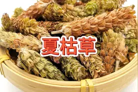 神农本草经-倪师讲夏枯草煮鸡蛋视频封面