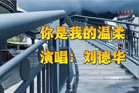 刘德华一首经典歌曲《你是我的温柔》深情流露，委婉动听视频封面
