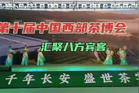 第十届西部茶博盛会汇聚八方宾客视频封面