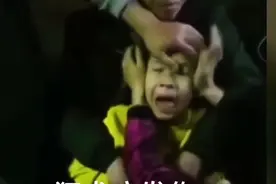 狂犬病发作！每年流浪狗4000万条，被猫狗咬伤人也是4000万之多视频封面