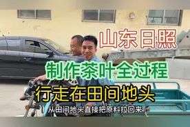 山东日照，北方绿茶第一镇，日照绿茶都是这么生产制作的视频封面