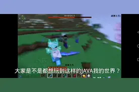 下载JAVA烦人的村民教程