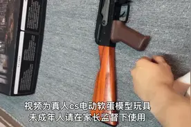 DS实木ak系列、安全范围拼装玩具发射器视频封面