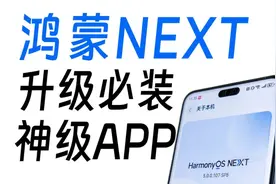 升级鸿蒙NEXT后，我立马装了这8款APP！很快啊！视频封面