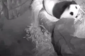 美国时间七月六号晚上九点的小奇迹！