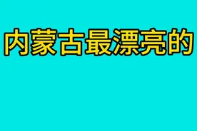 内蒙古最漂亮的11位女明星，内蒙古的女星就是精致美，瞧瞧都有谁视频封面
