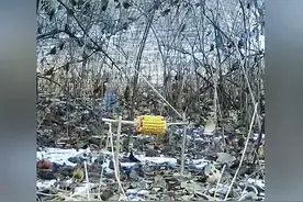 男子自制抓鸡神器，轻松捕获一只野鸡视频封面