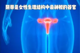 阴蒂是女性生理结构中最神秘的器官视频封面