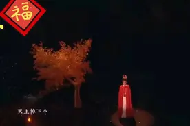 陈丽君:天上掉下个林妹妹视频封面