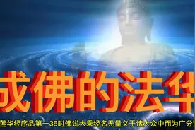 妙法莲华经序品第一35时佛说大乘经名无量义于诸大众中而为广分别视频封面