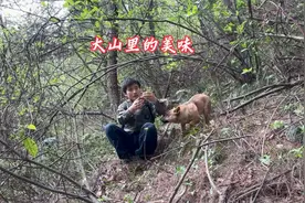 山里头挖地蚕真过瘾！凉拌一口脆甜，这野味城里根本买不着！视频封面