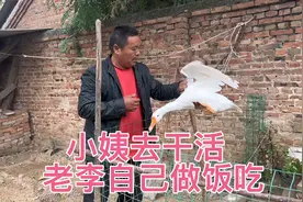 小姨去干活啦，看老李怎么做饭吃视频封面