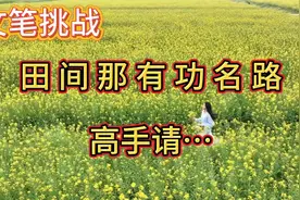 田间那有功名路，高手请接笔挑战！视频封面