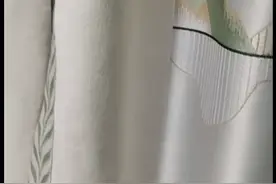 手绘怪物的飞机视频封面