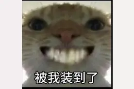 老鼠表情包，大家族，图片会放在评论区视频封面