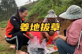 菲菲去给远在姜地拔草的老妈们送午饭，看看云南高山种植的小黄姜视频封面