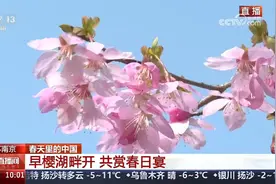 春天里的中国，多地鲜花盛开，飞鸟展翅，景色宜人，游人如织视频封面