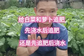 给蔬菜追肥，先浇水后追肥好？还是先追肥后浇水好？农户快看看吧视频封面