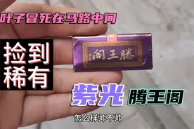 小叶子运气爆棚，捡到稀有货，紫光腾王阁和推盖人参烟，见过吗你视频封面