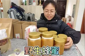 野生蜂蜜太受欢迎了，老表又上山挖得几窝，带大家看看压蜜全过程视频封面