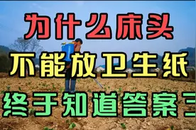 为什么床头不能放卫生纸？今天终于知道了，答案可能出乎你的意料视频封面