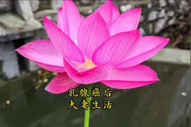 乳腺癌后，夫妻生活视频封面